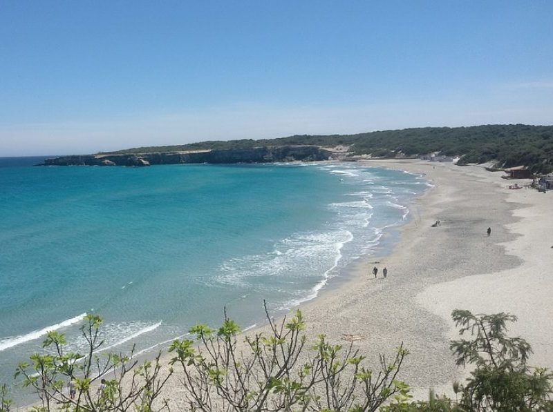 Tour e attività accessibili